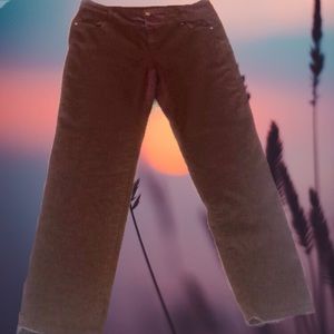 Sapphire Ink Burgundy Skinny Jeans ❤️😍